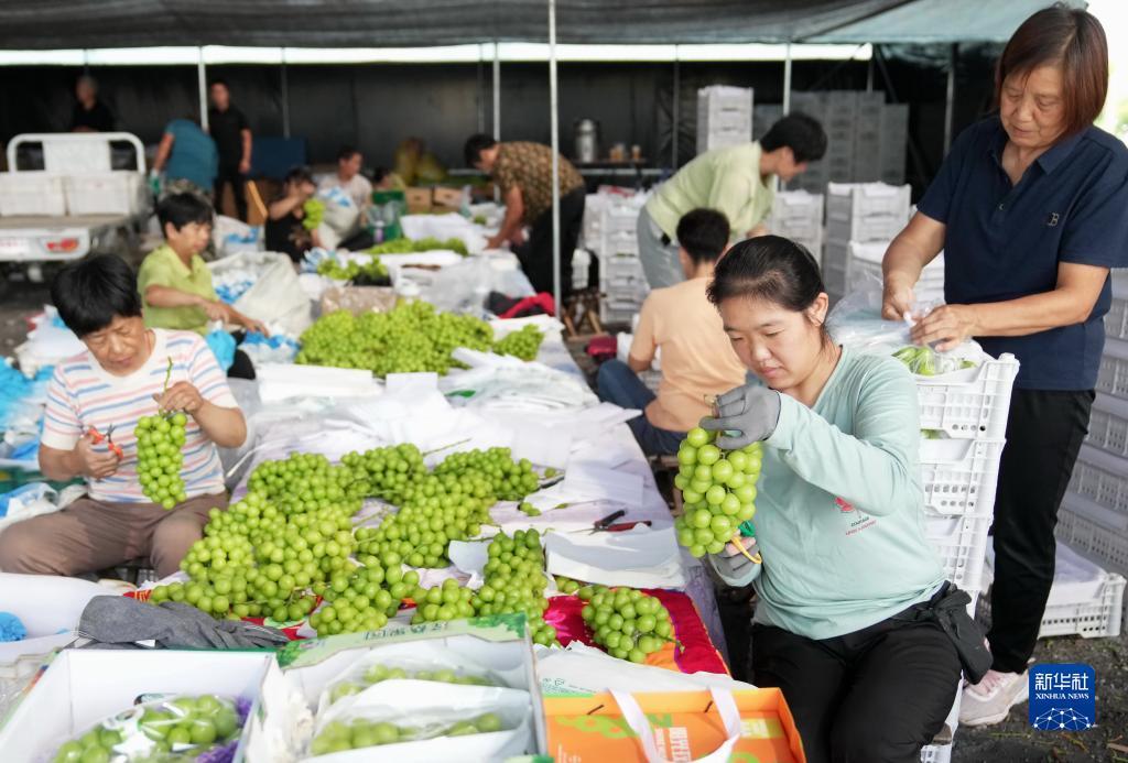 十大赌场排名榜